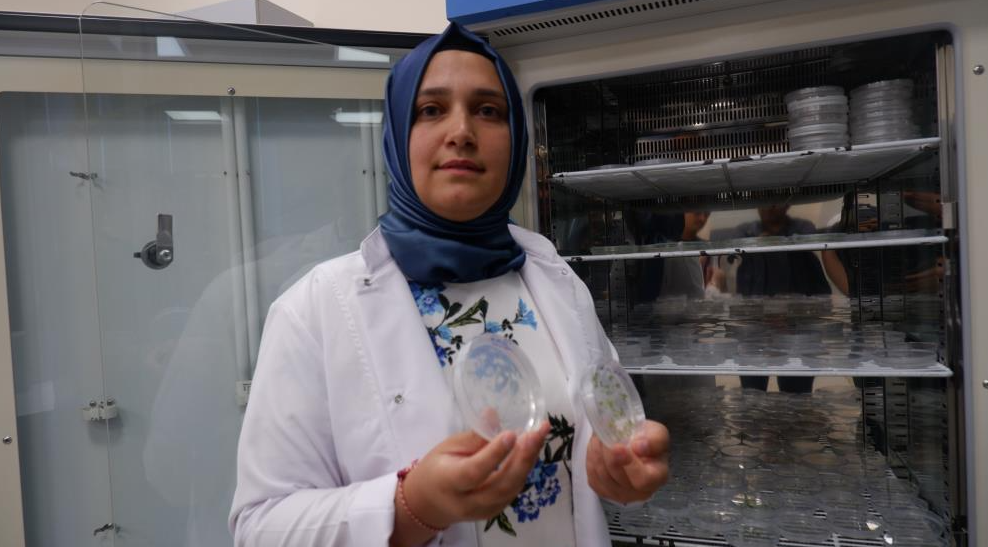 Tarım toprağına D vitamini desteği