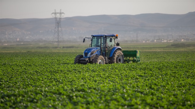 Tarım ÜFE Haziran ayında düştü