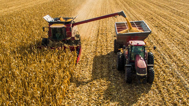 Tarım ÜFE haziranda yükseldi