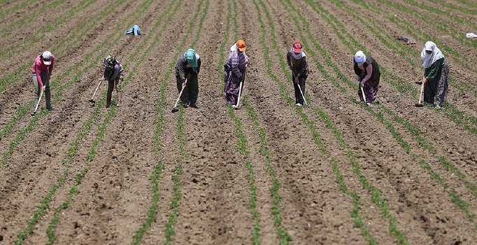 Tarım ÜFE Mart'ta yükseldi