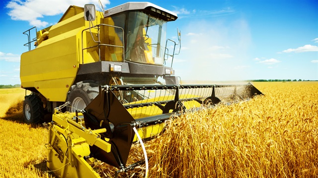 Tarım ÜFE mayısta yükseldi