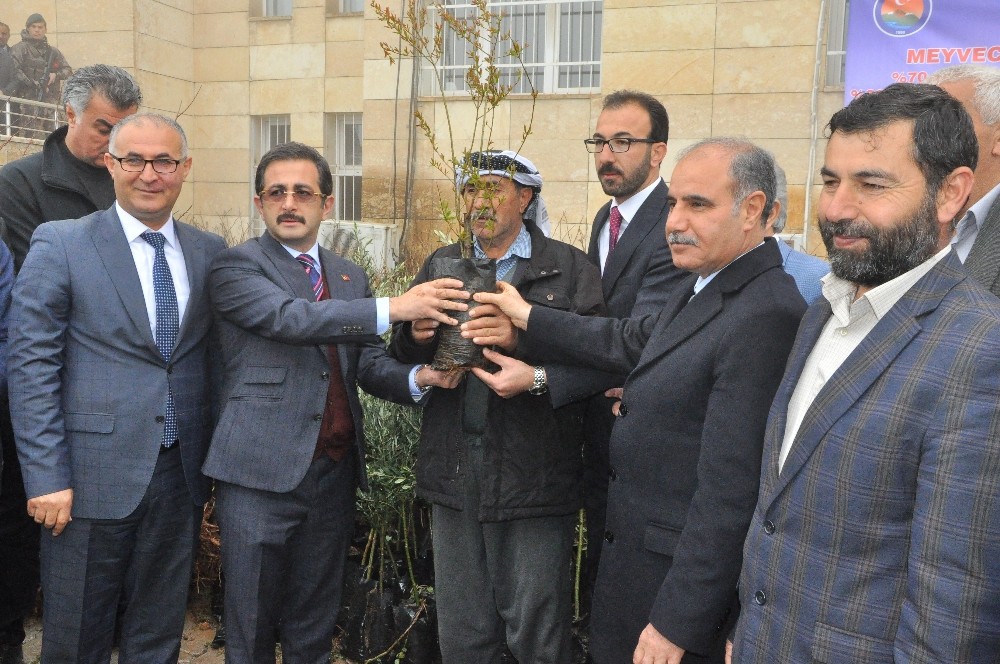 Tarım ve Orman Bakan Yardımcısı Aksu: “Şırnak’ı bir hayvancılık merkezi haline getireceğiz” 