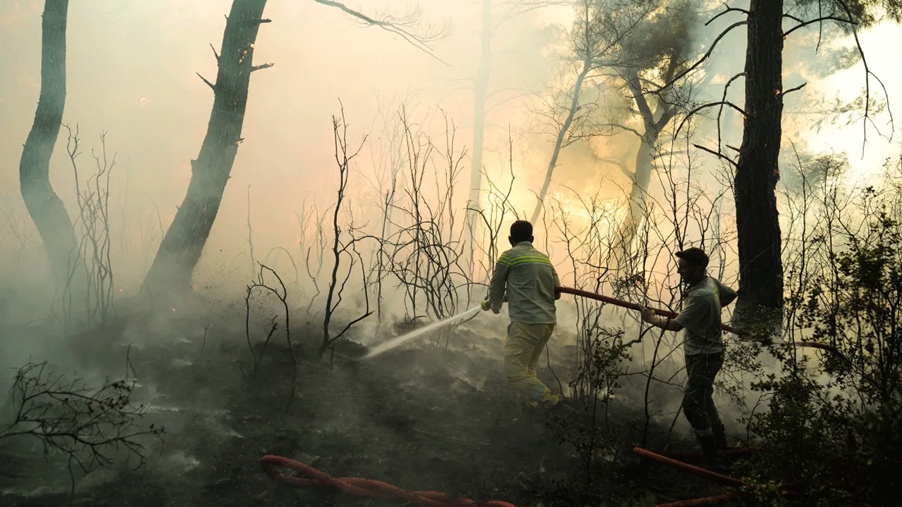 Çeşme'de yangın kontrol altına alındı