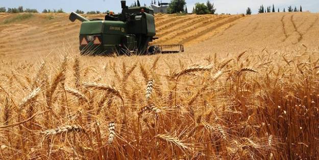 Bakan Pakdemirli duyurdu! Ödemeler başladı