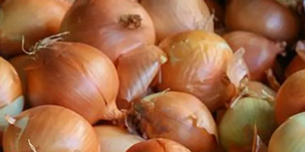 Tarım ve Orman Bakanlığı az önce ilk kez duyurdu! Kuru soğana ilişkin flaş açıklaması: 2 milyon 350 bin ton