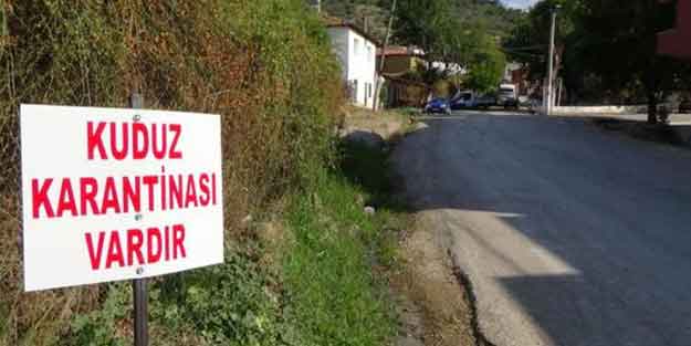 Tarım ve Orman Bakanlığı: Kuduz tespit ettik