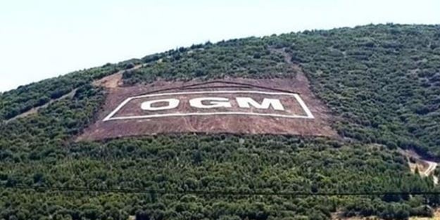 Tarım ve Orman Bakanlığı OGM sözleşmeli personel alımları