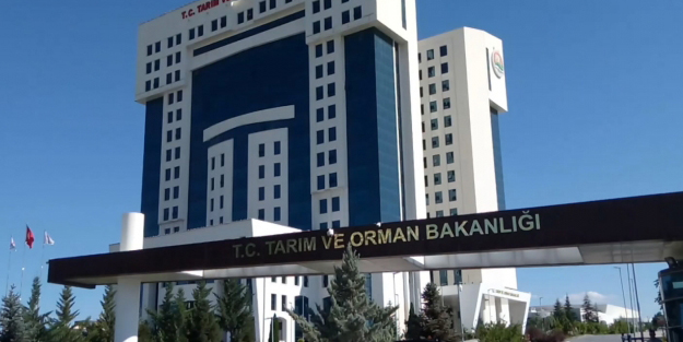 Tarım ve Orman Bakanlığı personel alımı başvuru nasıl yapılır? Başvuru şartları neler?