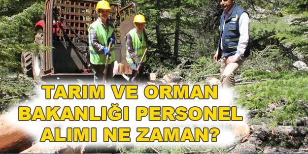 Tarım ve Orman Bakanlığı personel alımı! İŞKUR Tarım ve Orman Bakanlığı alımları ne zaman yapılacak?