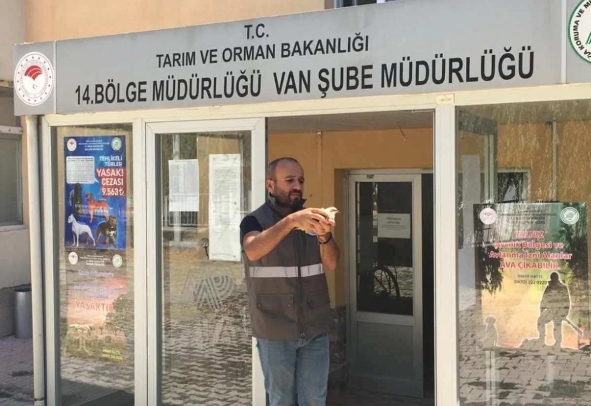 Tarım ve Orman Bakanlığı Van Şube Müdürlüğü tercüme ve uygulama proje hizmeti alacak