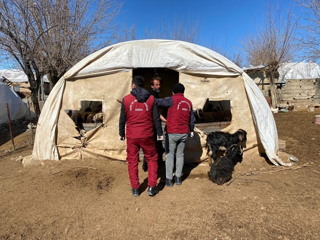 Tarım ve Orman Bakanlığınca deprem bölgesinde hayvan çadırı, yem ve mama dağıtımı