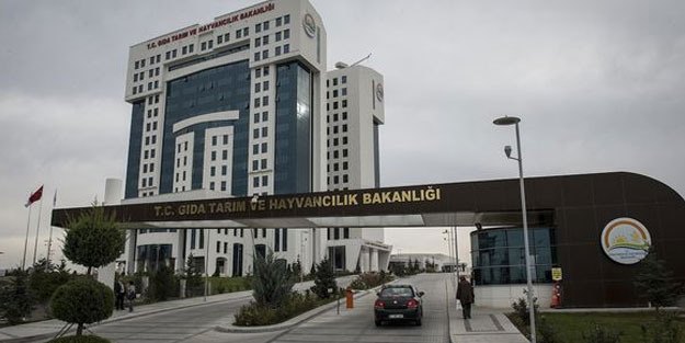 Tarım ve Orman Bakanlığında 4 bakan yardımcısı görevden alındı