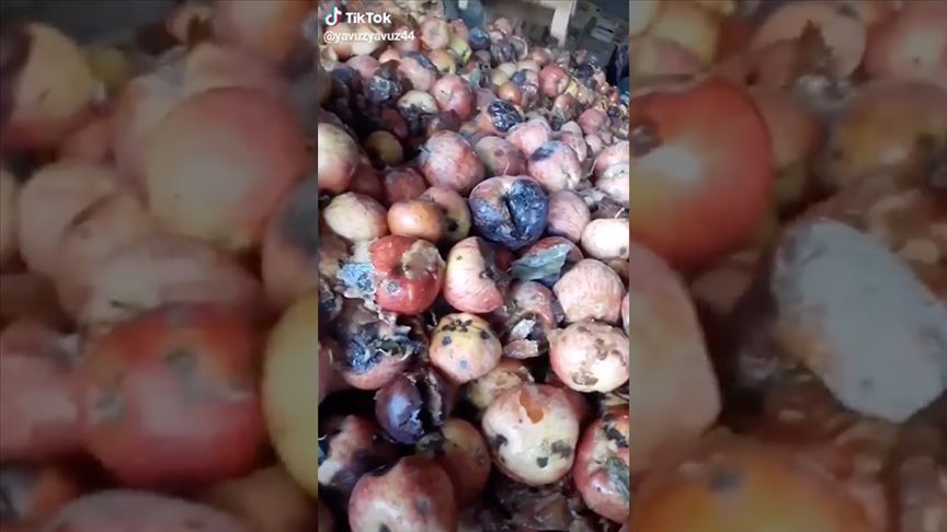 Tarım ve Orman Bakanlığından 