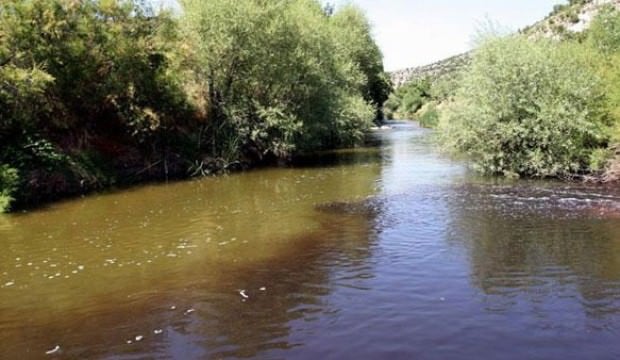 Tarım ve Orman Bakanlığından 'Gediz' mesajı