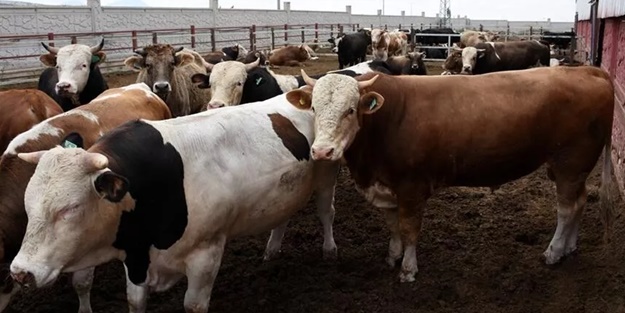 Tarım ve Orman Bakanlığından 