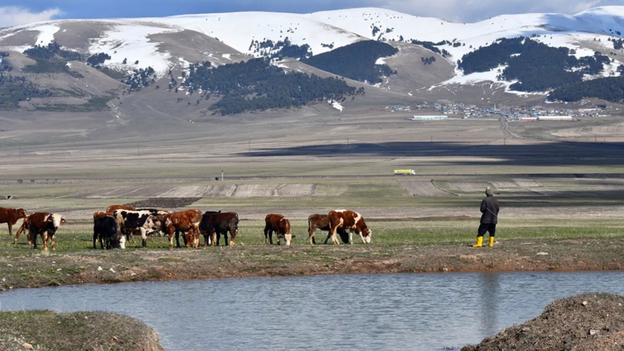 Tarım ve Orman Bakanlığından yalanlama: Meralar yasaklanmadı
