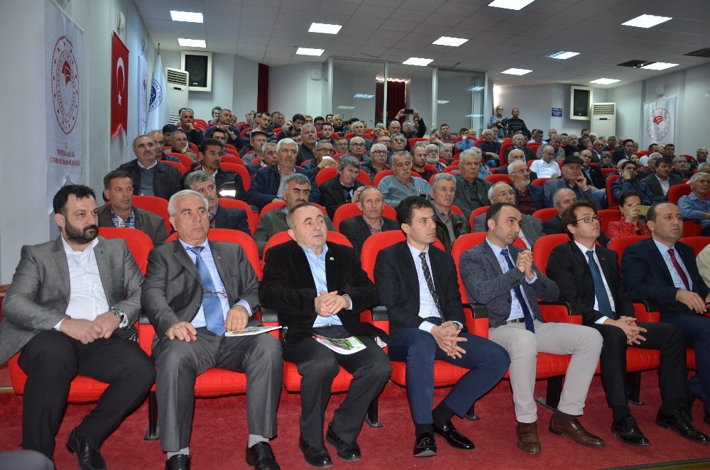 Tarım ve Orman İl Müdürü Öcal: “Arıcılık tarihi insanlık tarihi kadar eskidir” 