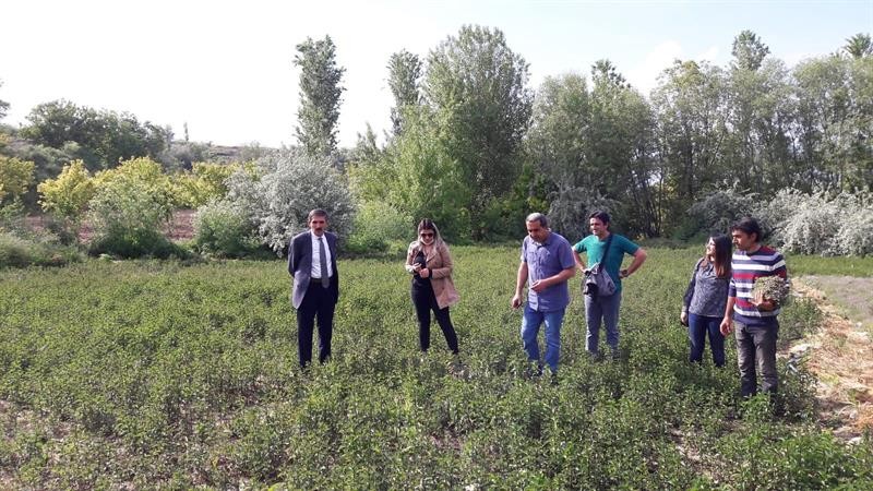 Tarım’da 158 milyon avro hibe verilecek 