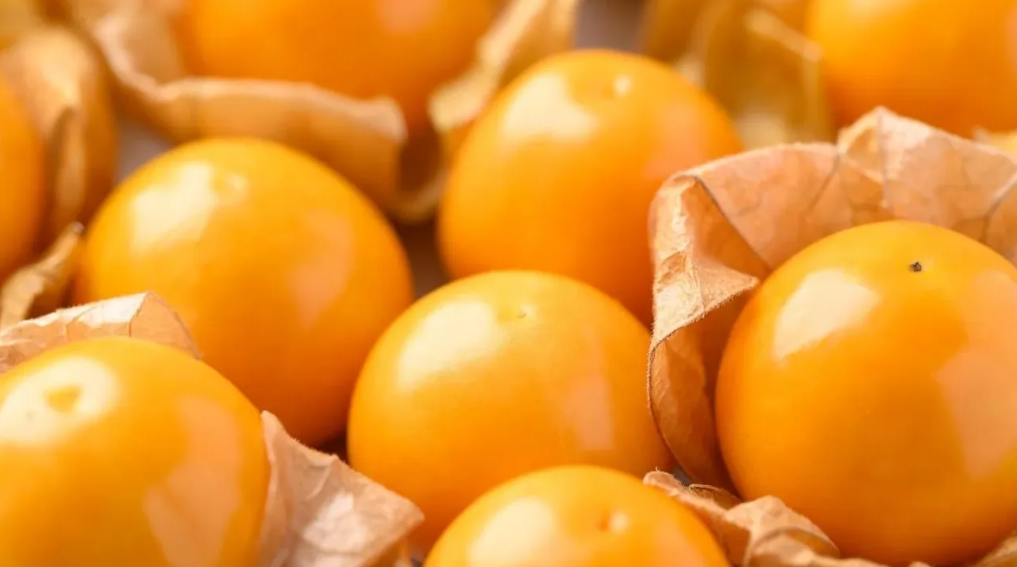 Tarımda Altın Çilek dönemi