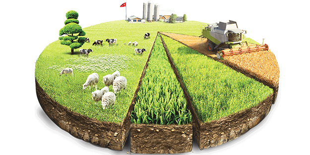 Tarımda erken uyarı sistemi