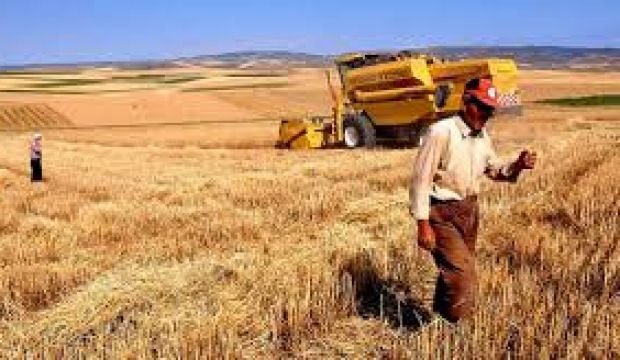 Tarımda sigortalı varlık değeri yüzde 28 yükseldi