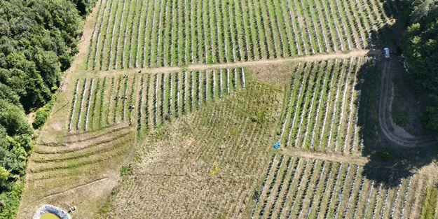 Tarımda tüm zamanların rekoru kırıldı