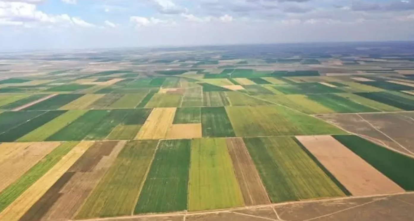 Tarımda üretim seferberliği: Atıl arazilere yüzde 75 hibe müjdesi!