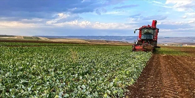 Tarımda yalancı bahar: seriler halinde alarm veriyor hale gelirken yok olma riski ile acil kurulu toplandı!