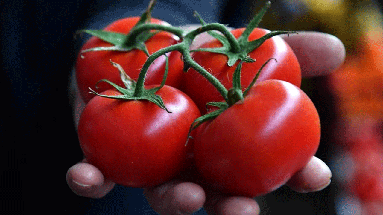 Tarımdan çok güzel haber! Türkiye'nin yeri belli oldu