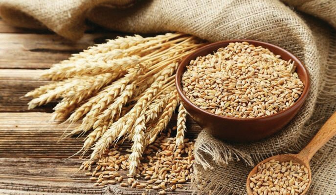 Tarımı sevenler Posof’ta kalıyorlar 