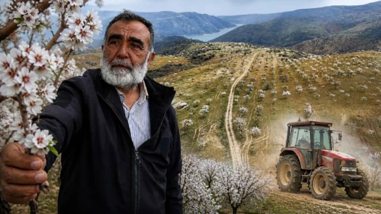 Tarımın ‘T’sini bile bilmiyordu: 1000 dönüm arazide rekor kırdı