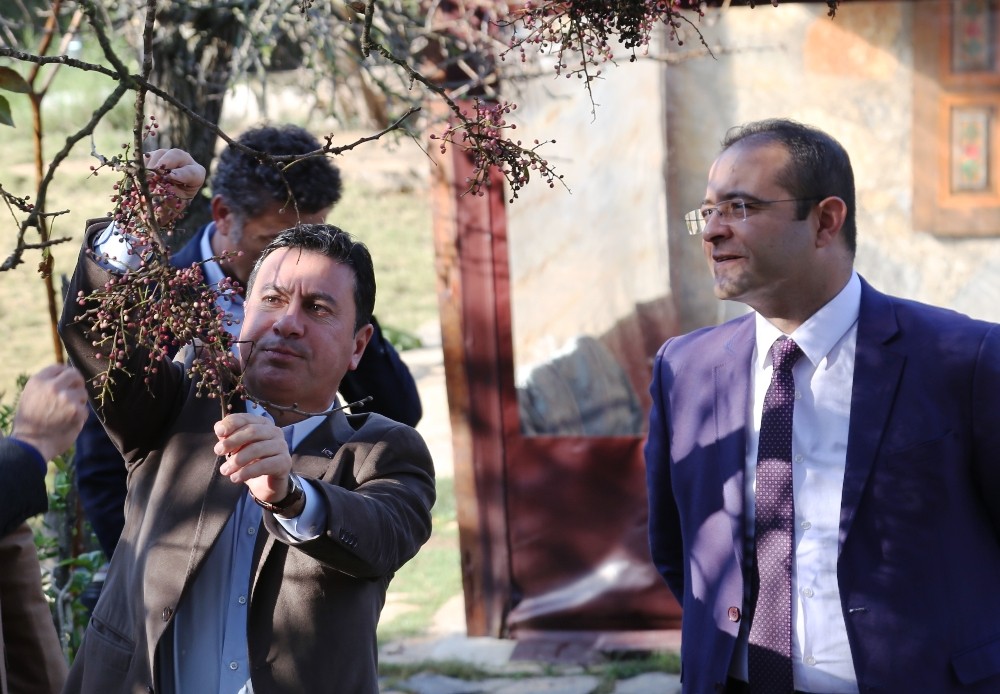 Tarımsal üretim destek ve planlama kurulu sonuç bildirgesi ile acil eylem planı açıklandı 