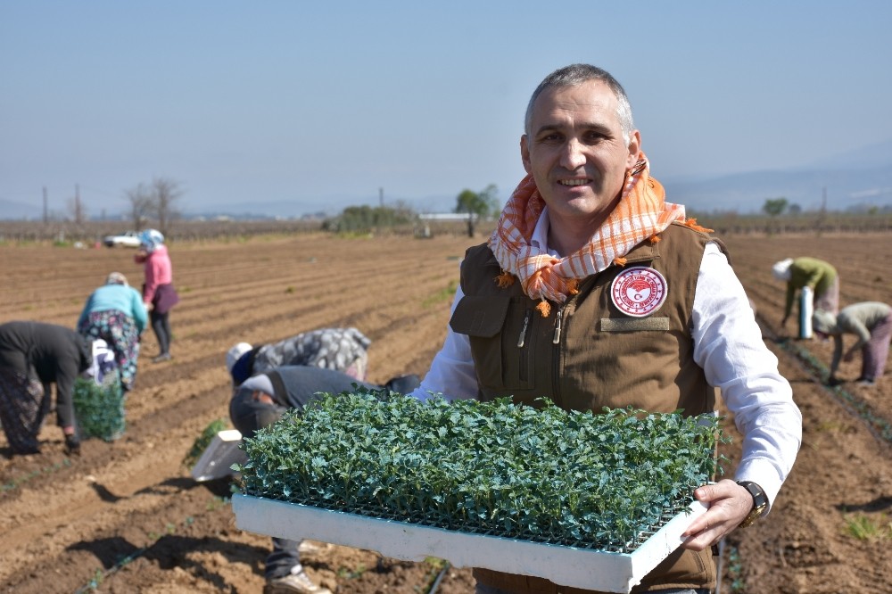 Tarımsal ürün alanlarına yerinde inceleme 