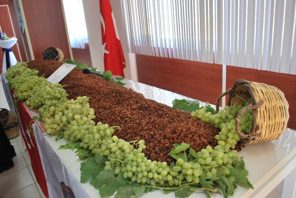 TARİŞ açıkladı, en düşük üzüm 10 lira 