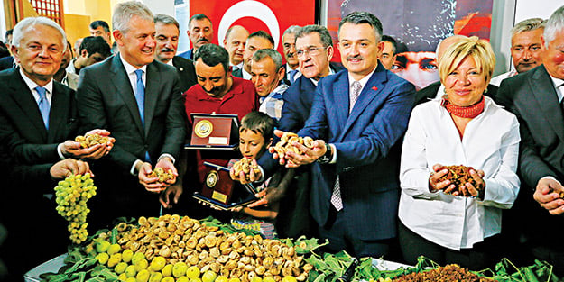 TARİŞ ve TMO çekirdeksiz kuru üzümü 10 liradan alacak