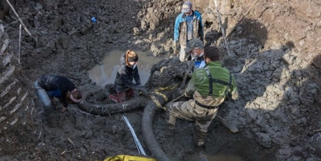 Tarla sürerken öyle bir şey buldular ki!