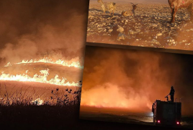 Tarla yangınlarını kimin çıkardığı belli oldu! Çok büyük alçaklık çok