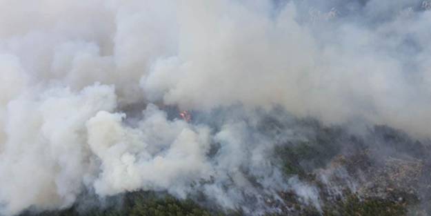 Tarlada başlayan yangın ormanlık alana sıçradı!