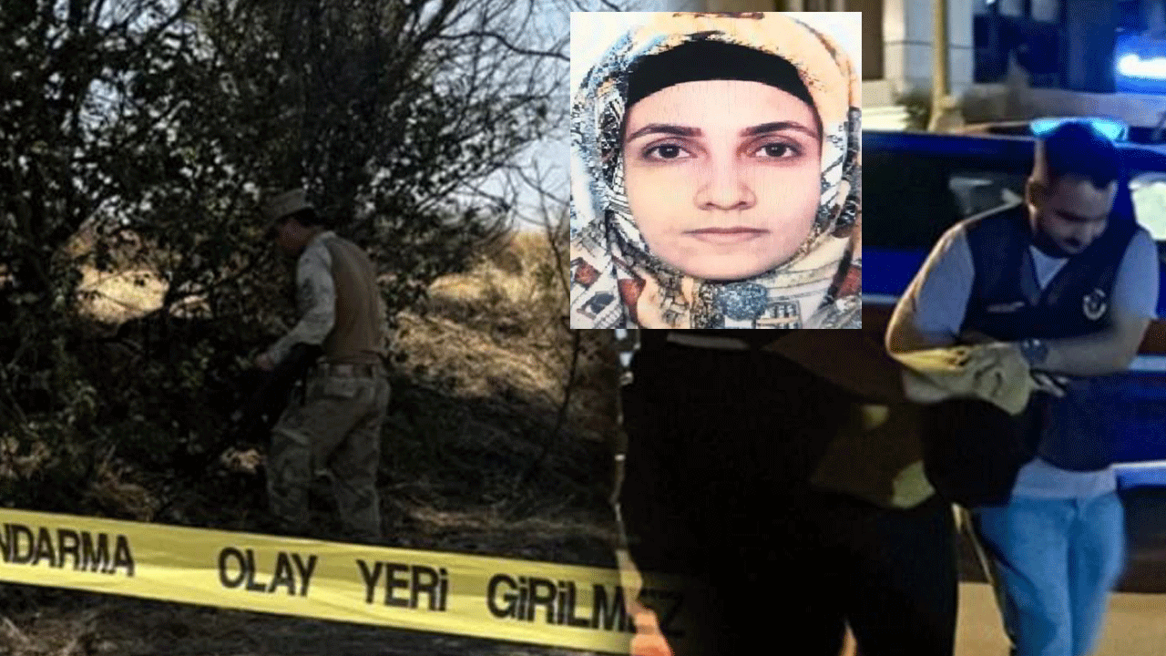 Tarlada başlayan yasak aşk yine tarlada bitti