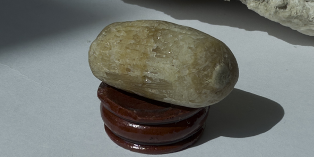 Tarlada bulunan taşlar palamut fosili çıktı!