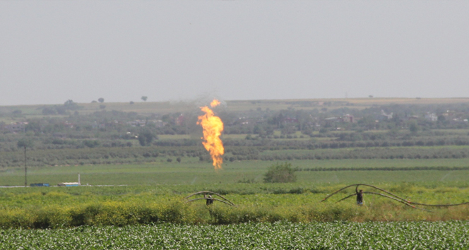 Tarlada doğalgaz bulundu!