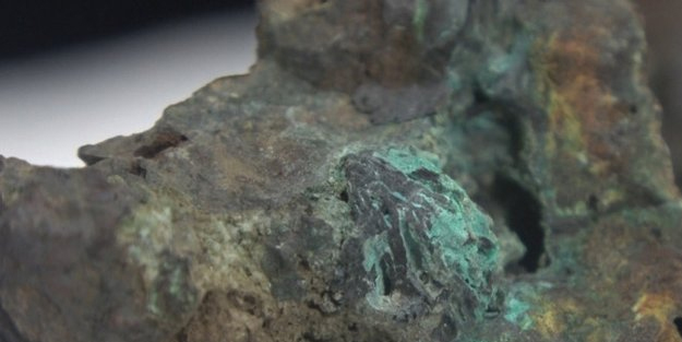 Tarlada hayvanları otlatırken buldu! Baş ağrısını geçiriyor diye iddia edilen şeyi satışa koydu: Tam 5 milyon TL