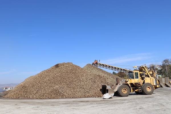 Tarladan sofraya onlarca işlem!Şeker sofraya öyle kolay gelmiyor