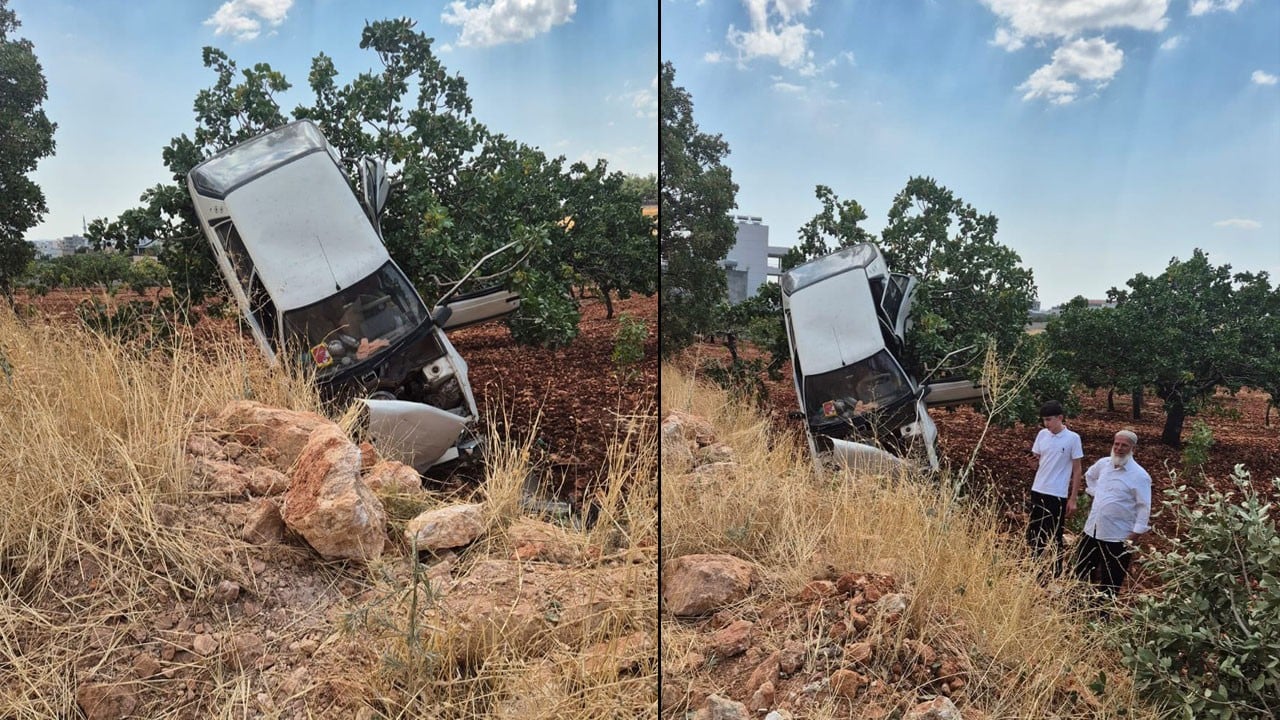 Tarlaya dalan otomobil fıstık ağacında asılı kaldı: 2 yaralı