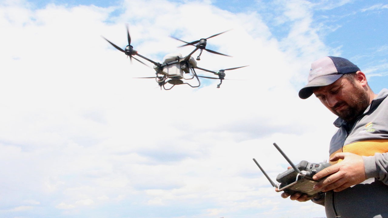 Tarlaya drone indi! Çeltik ekimi çağ atladı