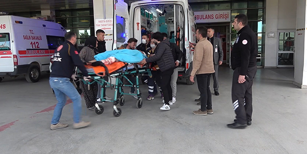 Tarlaya giren hayvan kavgası kanlı bitti