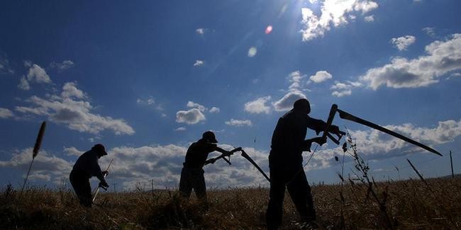 TARSİM 1,1 milyar lirayı aşkın hasar ödedi