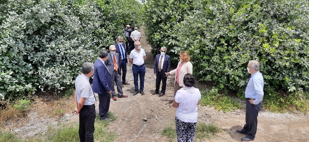 TARSİM’den Adana Turunçgil Üreticileri Birliği Başkanı’na ziyaret 