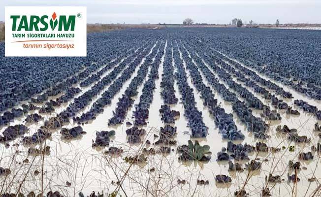 TARSİM’den üreticiye 1,2 milyar TL’lik destek