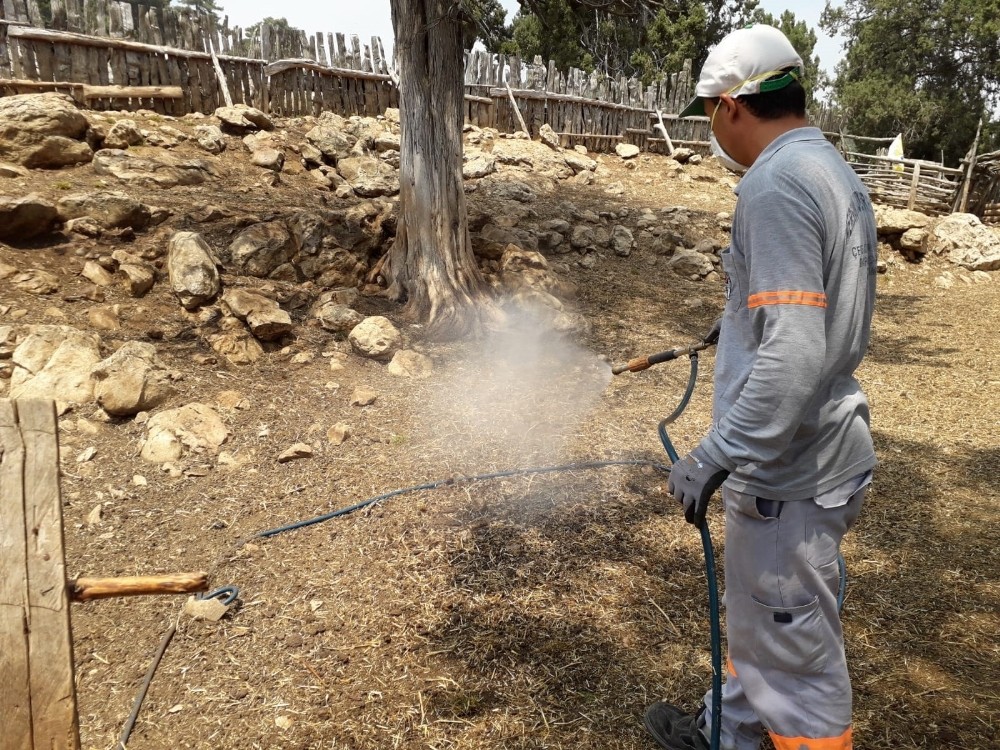 Tarsus ve Çamlıyayla’da haşere mücadelesi sürüyor 